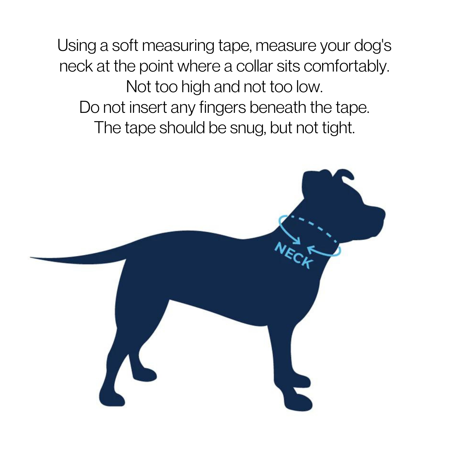 Hypnotic Dog|Bead Dog Collars (@hypnoticdogco) • Instagram photos and videos